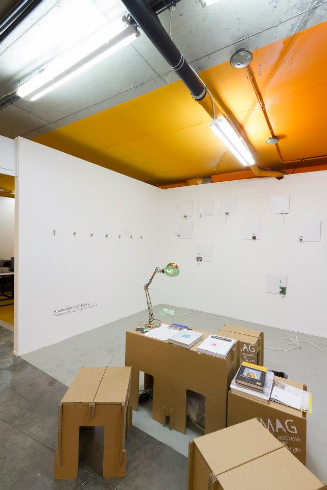 justmad_mustang_gallery_cartonLAB_01-4