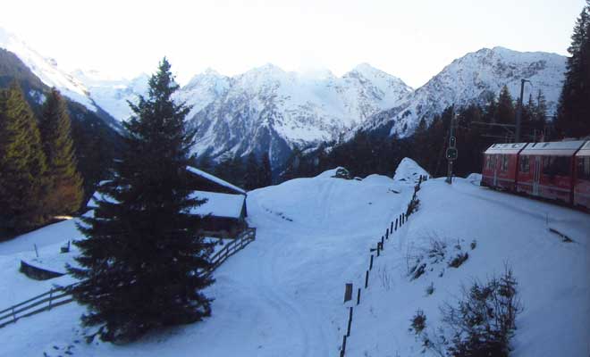 cartonlab_davos_aospine_07