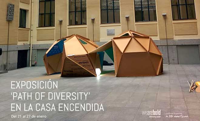 cartonlab sendero diversidad cupula carton 04