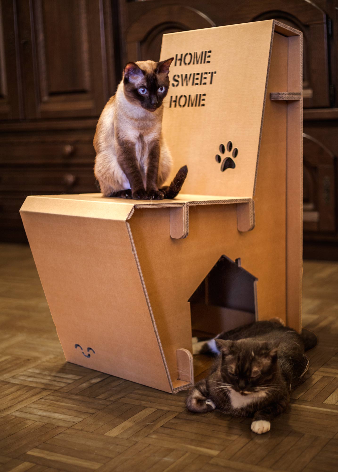 casa-silla-gatos-cartonlab-carton