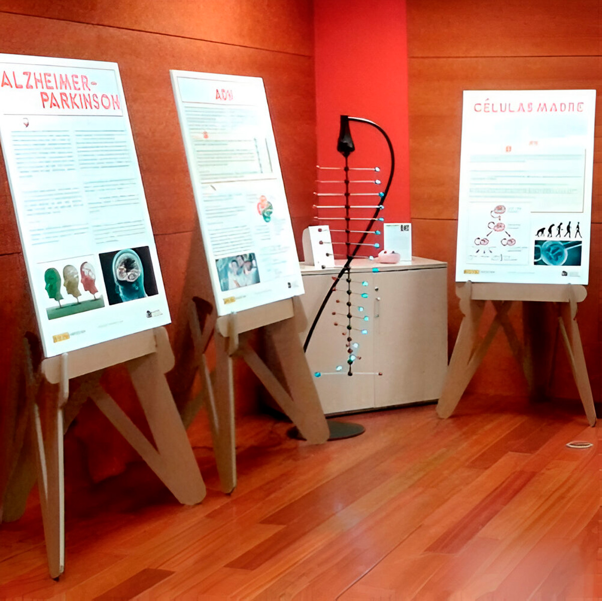 Primer diseño de caballete en la semana ciencia Salamanca