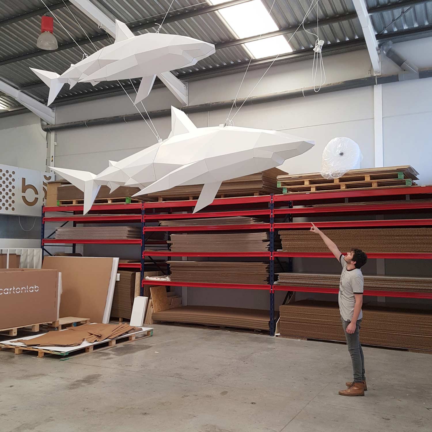 tiburón cartón cardboard shark