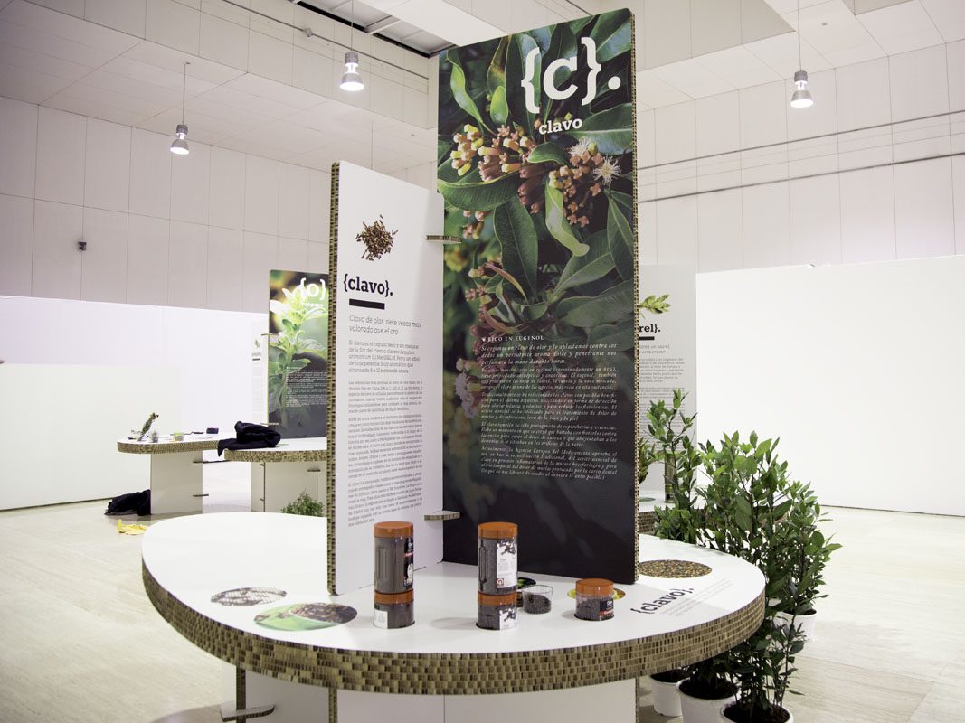 soportes para exposiciones en cartón