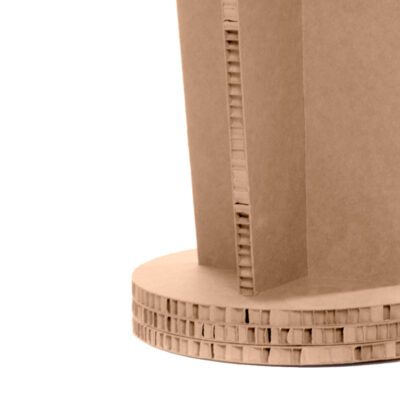 cactus carton detalle base