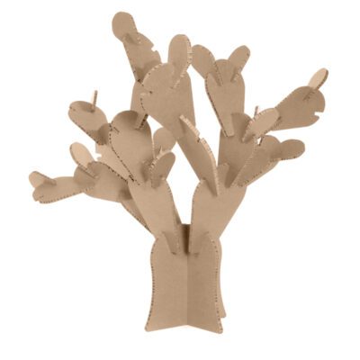 cactus chumbera frontal