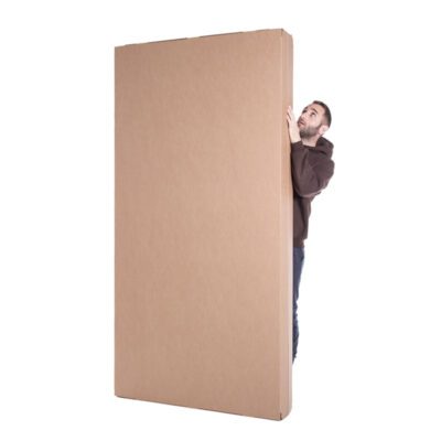 panel trasero muro carton