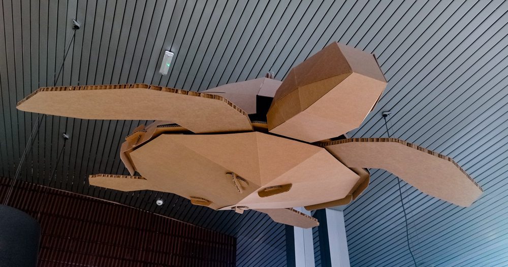 Diseño para oceanarios. Tortuga Flotante