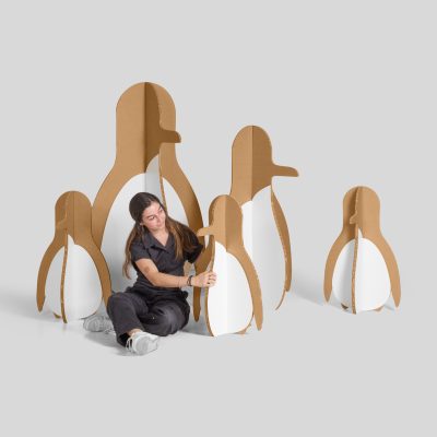 Pack Pingus - Acabado kraft y blanco - Vista general con persona